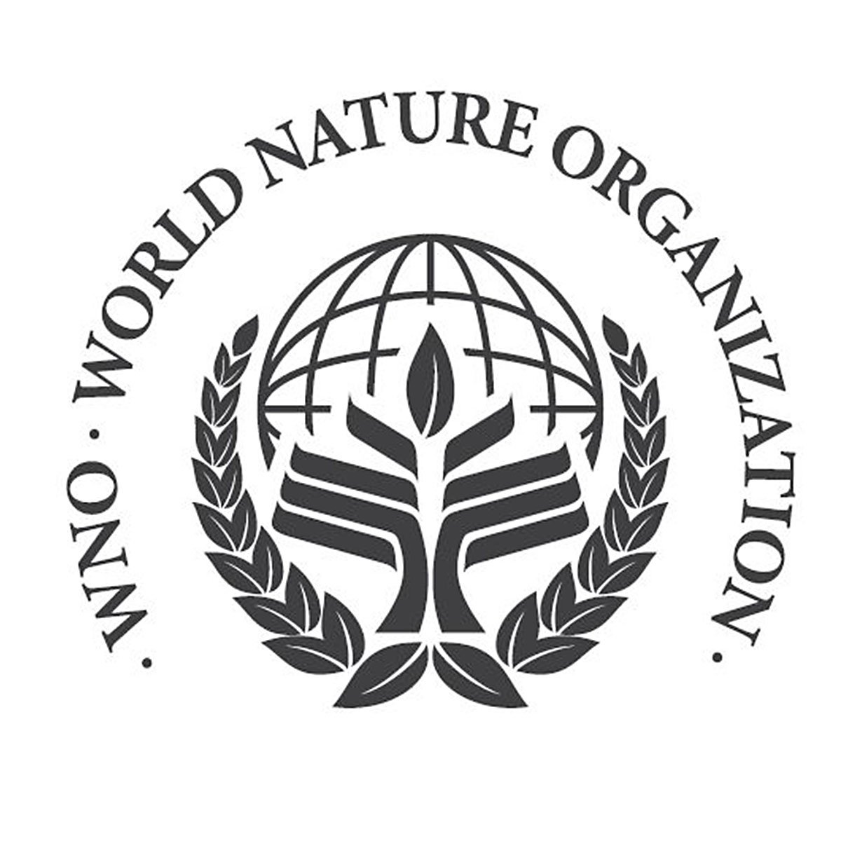 Do we really need another international environmental organisation ...