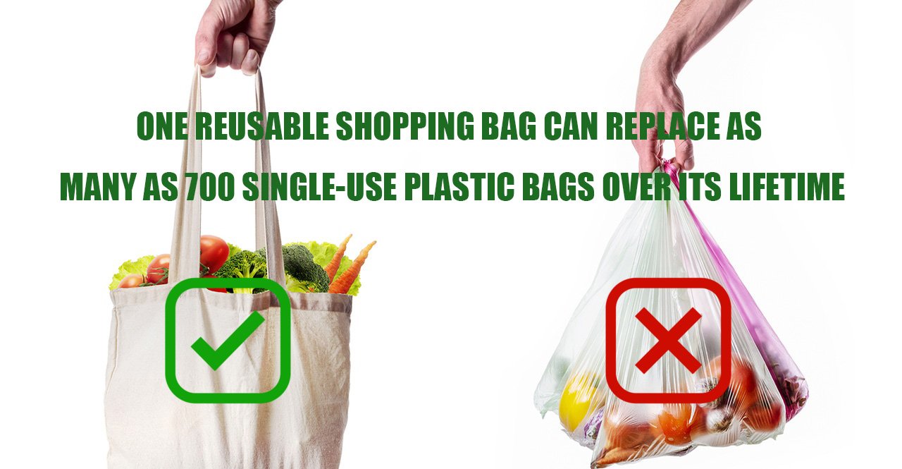 Infographic showing a reusable bag next to 700 plastic bags