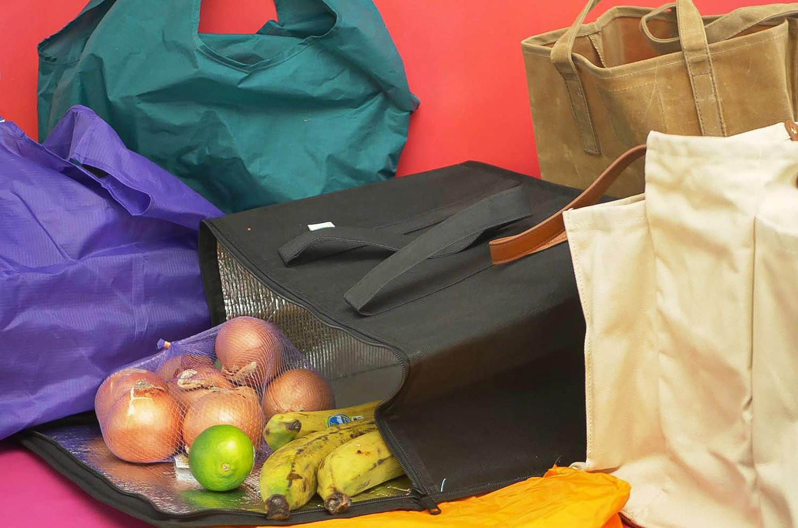 Reusable grocery bags of different materials and designs