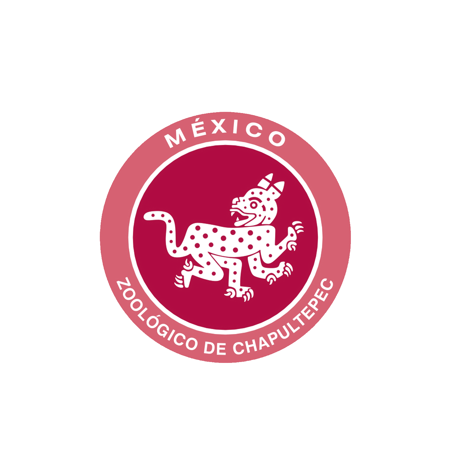 Coraggiobag - Partner brand logo