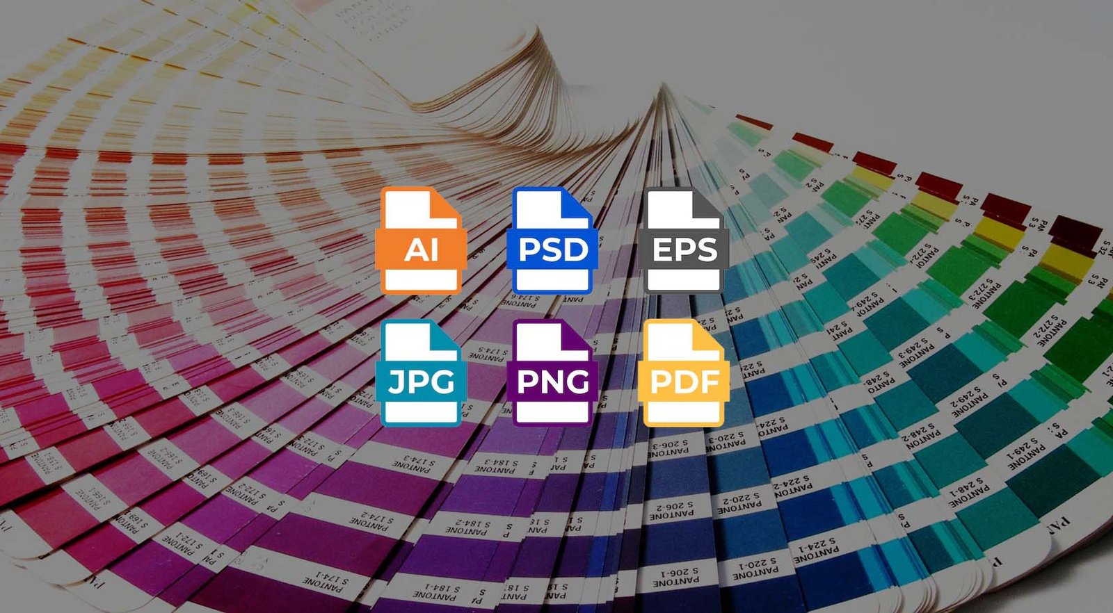 vector vs raster image for embroidery