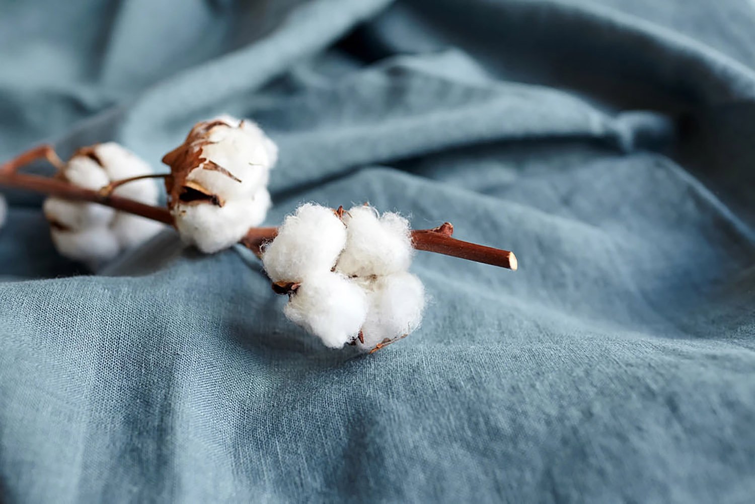 eco friendly organic cotton vs recycled cotton