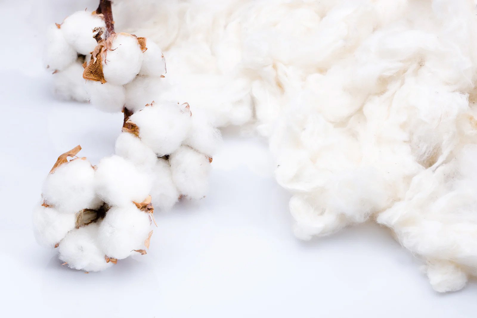 what are organic cotton tote bags made from