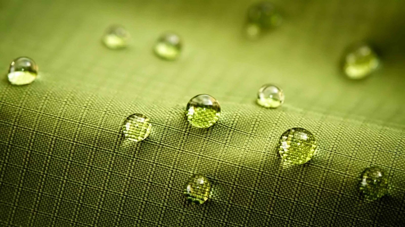 PFAS-free meaning for bag buyers