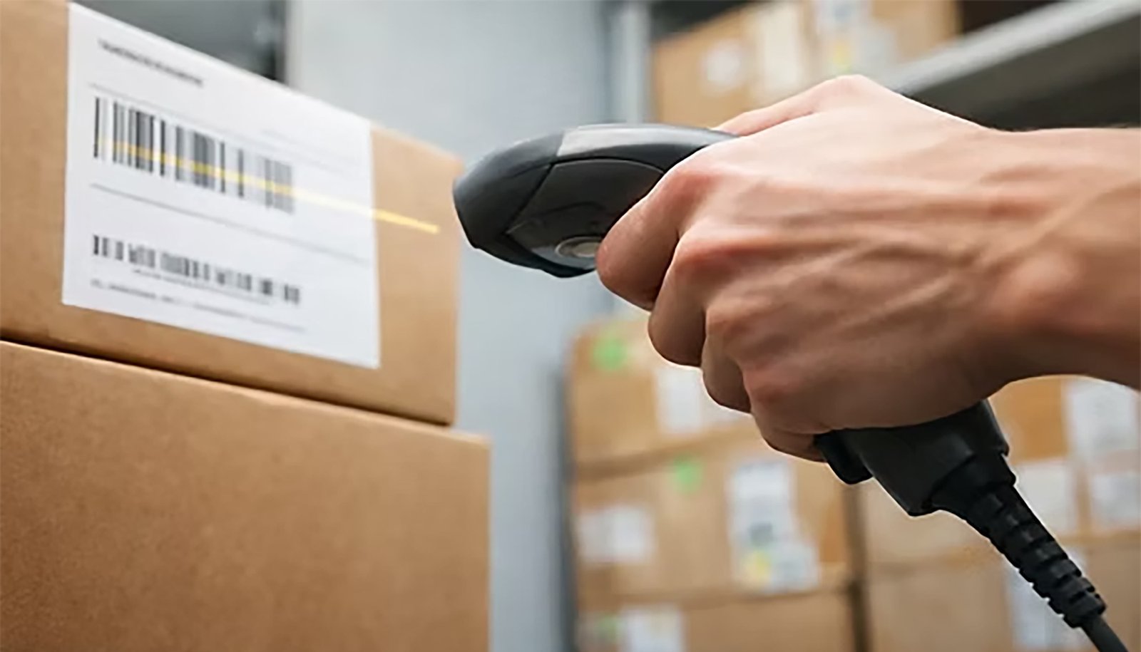 retail packaging for packing cube sets