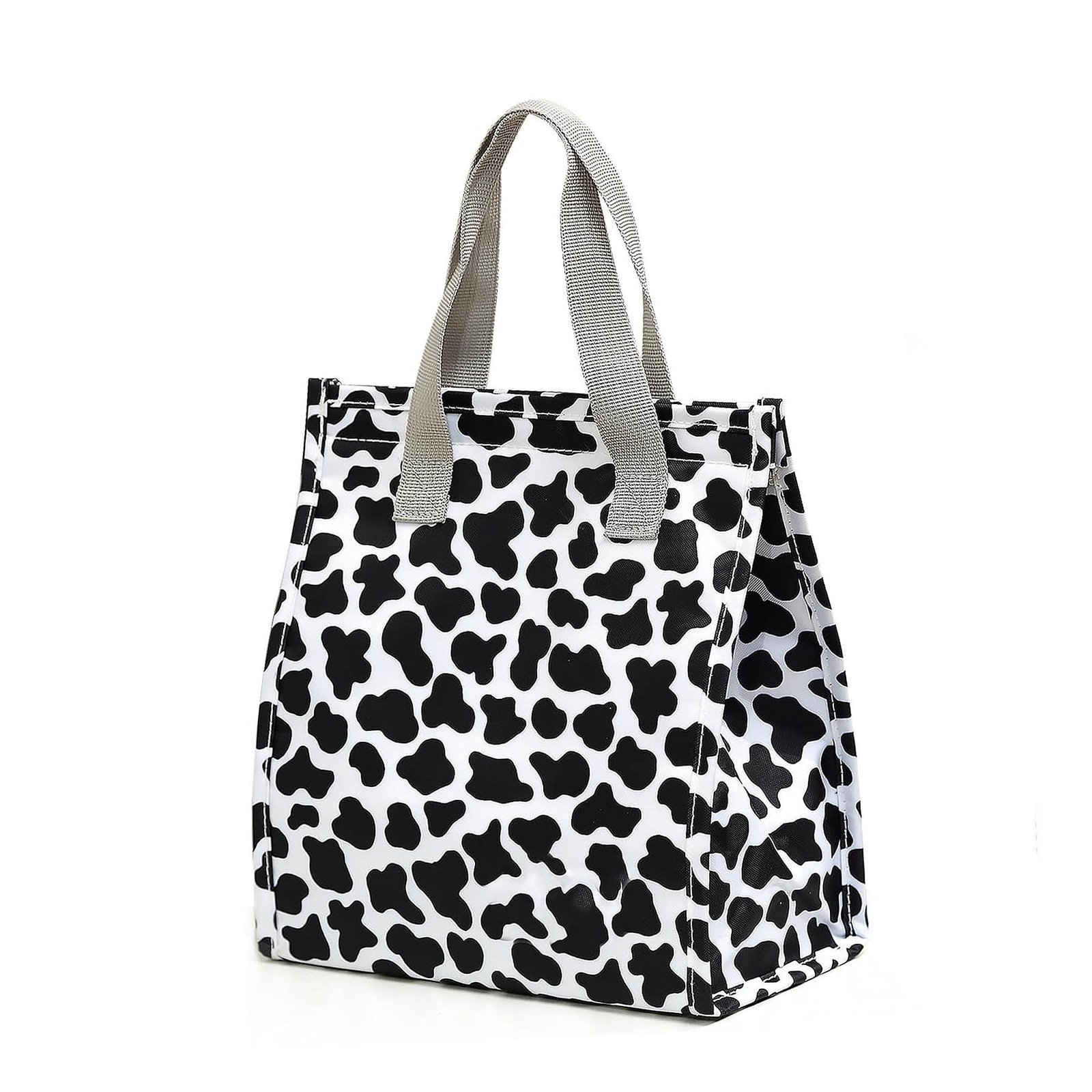 Portable lunch bag