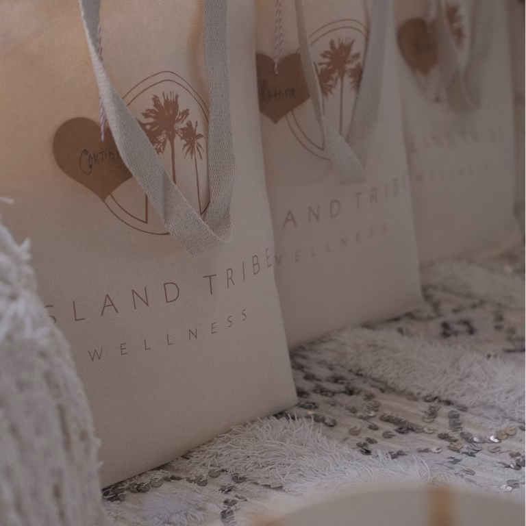 Non-Woven Shopping Bags production case